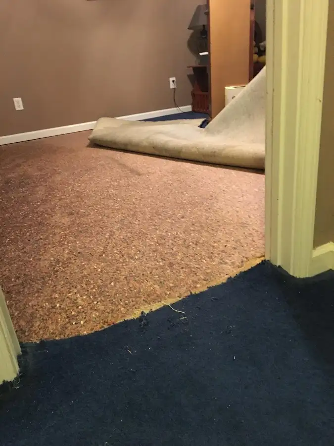 Carpet pad removal revealing water damage during Water Mitigation Services in Newfane