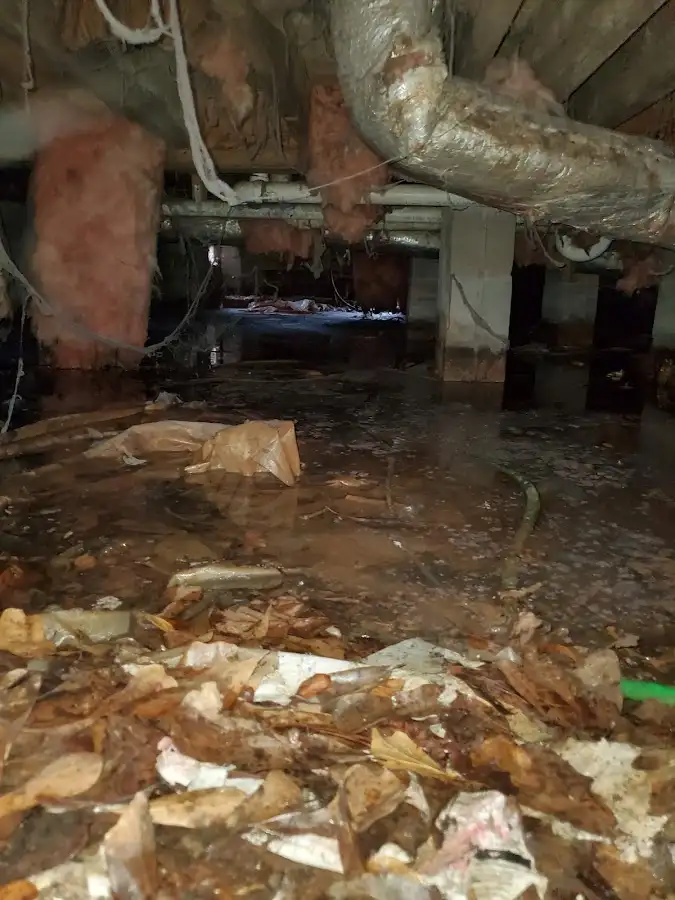 Crawl space flood assessment for Leak Detection & Repair in Newfane