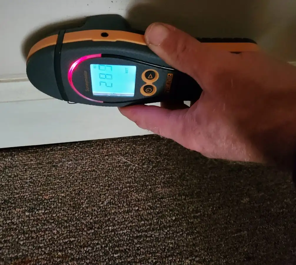 Moisture detection at baseboard during Sewage Cleanup & Sanitation in Newfane